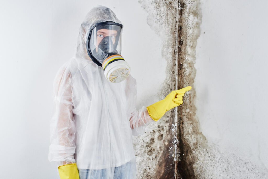 mold remediation service